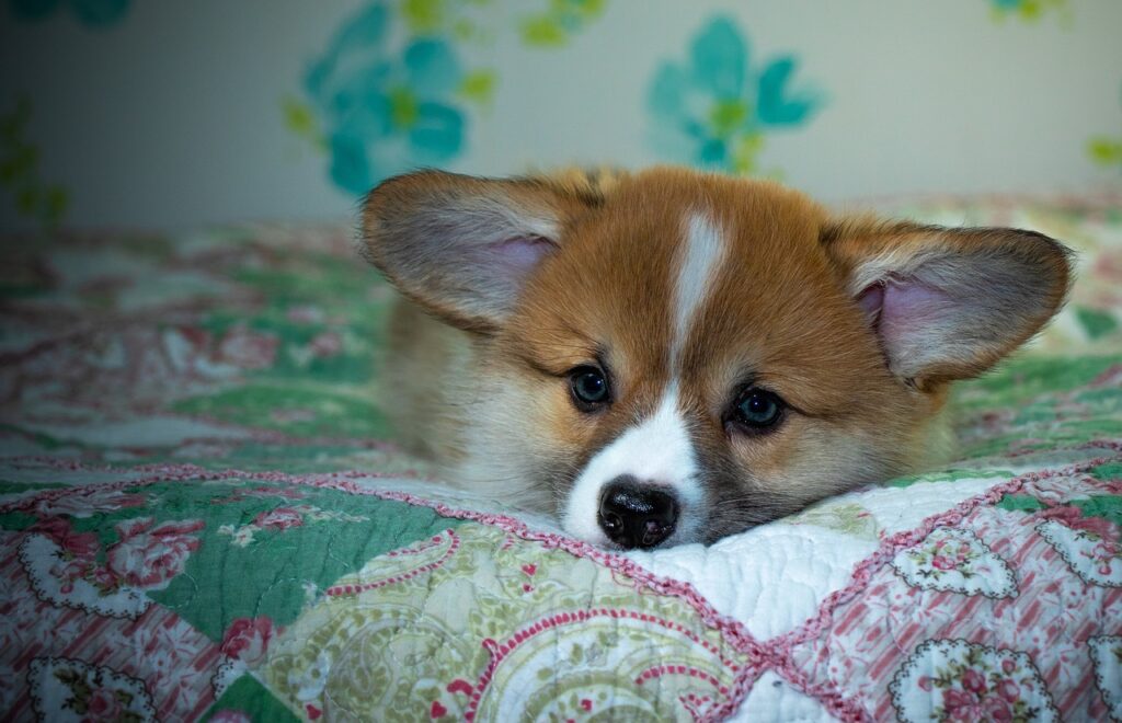 99exch Review: How India’s Emerging Trading Platform Stands Out in 2024